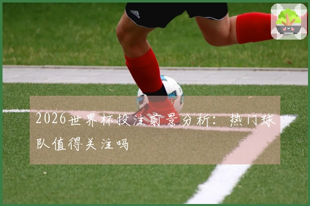 2026世界杯投注前景分析:热门球队值得关注吗