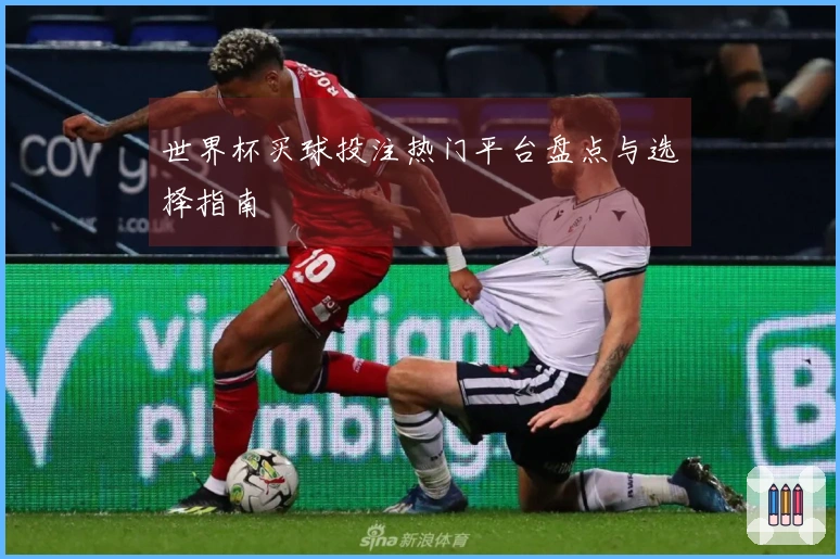 世界杯买球投注热门平台盘点与选择指南