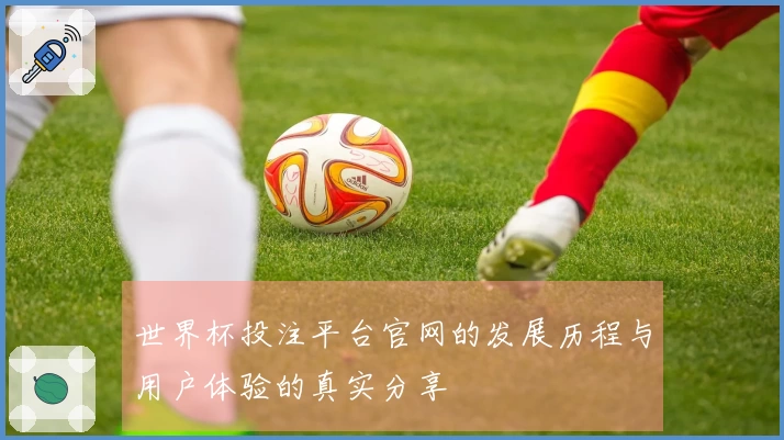 世界杯投注平台官网的发展历程与用户体验的真实分享