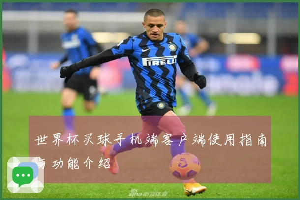 世界杯买球手机端客户端使用指南与功能介绍