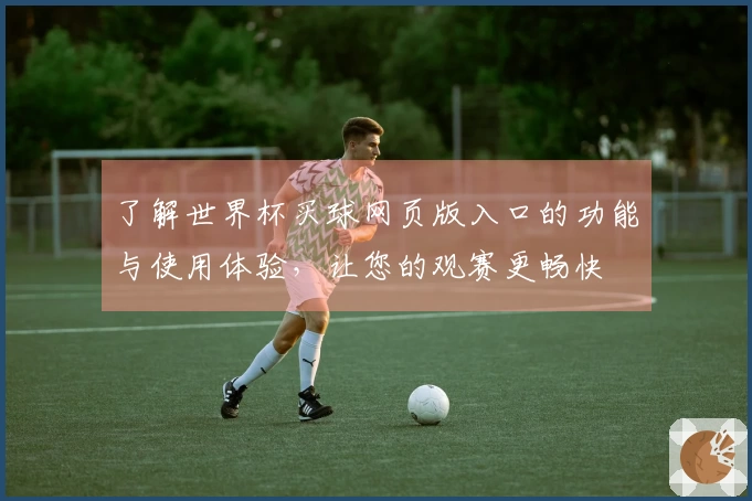 了解世界杯买球网页版入口的功能与使用体验，让您的观赛更畅快