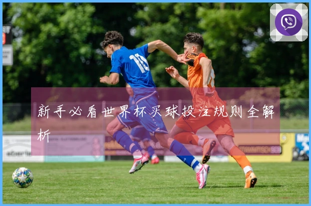 新手必看世界杯买球投注规则全解析