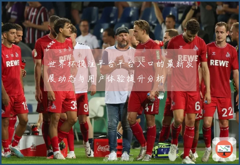 世界杯投注平台平台入口的最新发展动态与用户体验提升分析