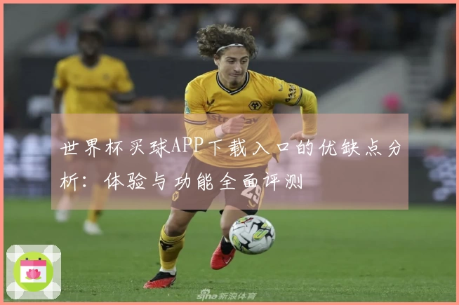 世界杯买球APP下载入口的优缺点分析：体验与功能全面评测