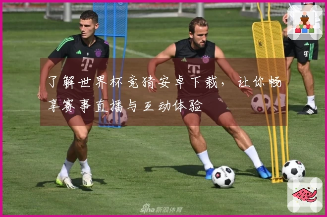 了解世界杯竞猜安卓下载，让你畅享赛事直播与互动体验