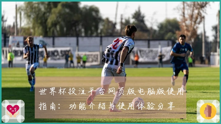 世界杯投注平台网页版电脑版使用指南：功能介绍与使用体验分享